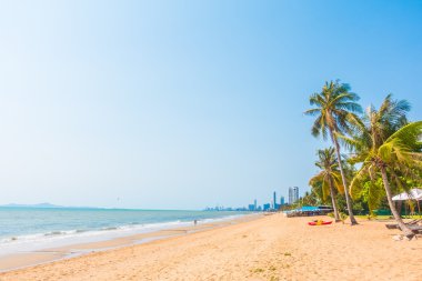 Sahilde palmiye ağacı