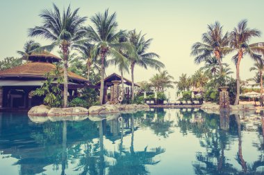 Palmiye ağaçları ile lüks Yüzme Havuzu