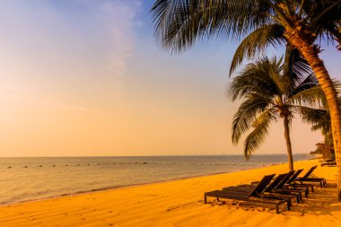 Güzel plaj ve palmiye ağaçları ile
