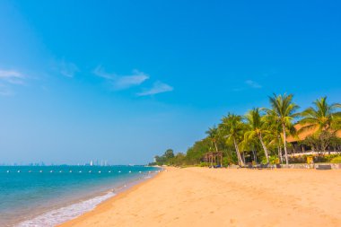 Güzel plaj ve palmiye ağaçları ile