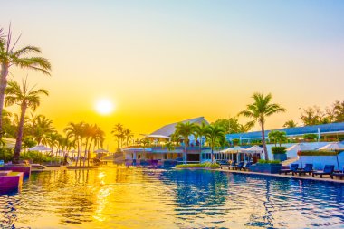 Günbatımı zaman palmiye ağaçlarının Silhouettes