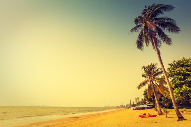 Sahildeki palmiye ağaçları
