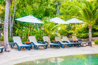 lüks Yüzme Havuzu Peyzaj