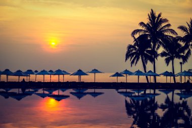 Ve Yüzme Havuzu palmiye ağaçlarının Silhouettes