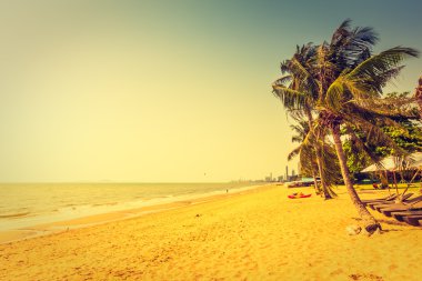 Sahildeki palmiye ağaçları