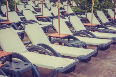 Palmiye ağaçları ile lüks Yüzme Havuzu