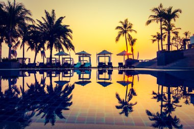 Günbatımı zaman palmiye ağaçlarının Silhouettes