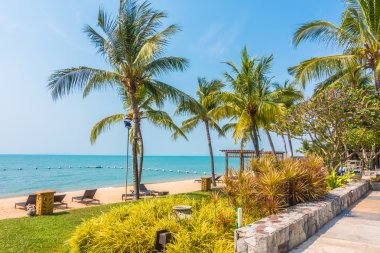 Güzel plaj ve palmiye ağaçları ile