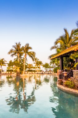 Palmiye ağaçları ile lüks Yüzme Havuzu