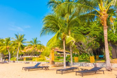 Güzel plaj ve palmiye ağaçları ile