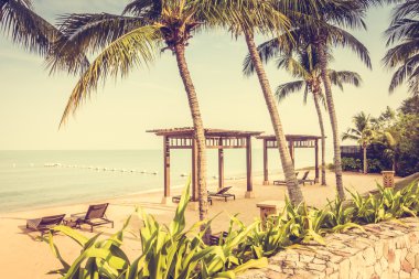 Güzel plaj ve palmiye ağaçları ile