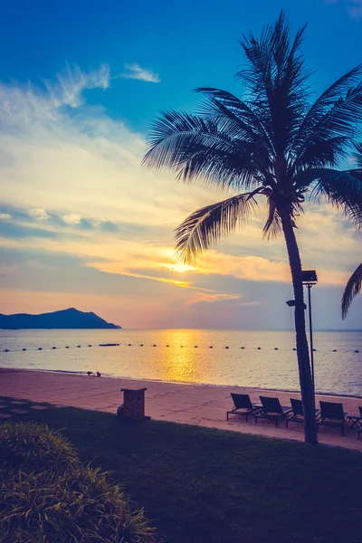 Beautiful beach and sea with palm tree — Stock Photo, Image