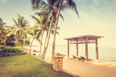 Güzel plaj ve palmiye ağaçları ile