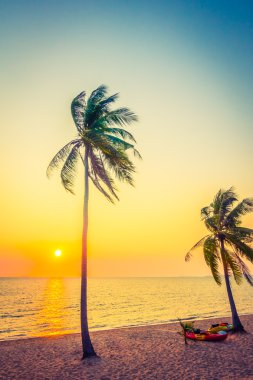 Sahildeki palmiye ağaçları