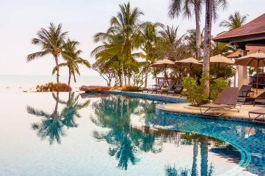 Palmiye ağaçları ile lüks Yüzme Havuzu