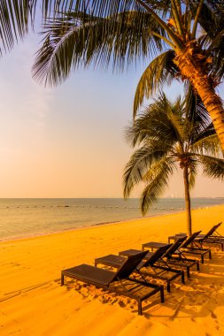 Güzel plaj ve palmiye ağaçları ile