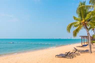 Güzel plaj ve palmiye ağaçları ile