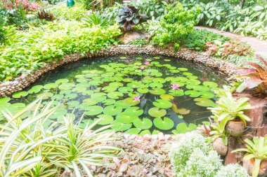 Taş yol yol yürümek için