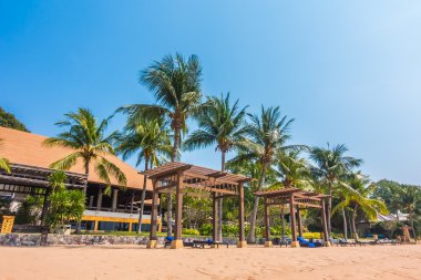Güzel plaj ve palmiye ağaçları ile