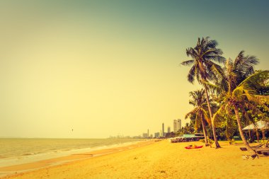 Sahildeki palmiye ağaçları