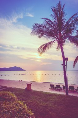 Güzel plaj ve palmiye ağaçları ile