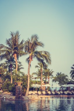 Palmiye ağaçları ile lüks Yüzme Havuzu