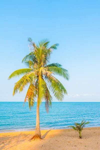 Кокосовые деревья на пляже — стоковое фото
