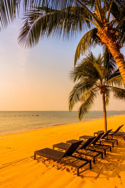 Güzel plaj ve palmiye ağaçları ile