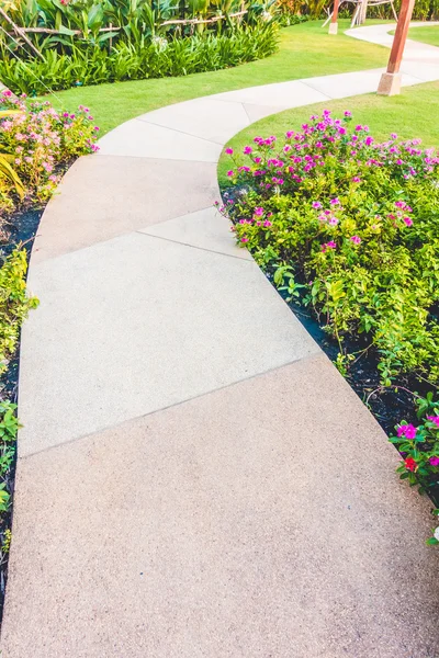 Chemin de chemin dans le jardin — Photo