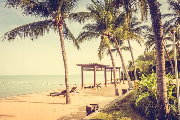 Gyönyörű tengerpart és a tenger pálmafákkal — Stock Fotó