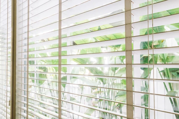 Blinds window decoration — Stock Photo, Image