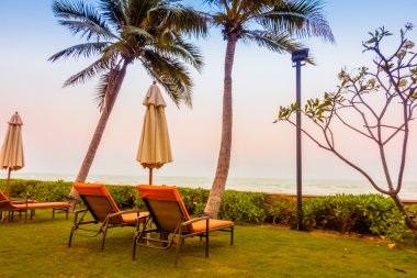 Boş şemsiye ve plaj sandalye