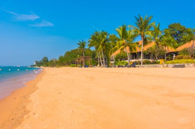Güzel plaj ve palmiye ağaçları ile