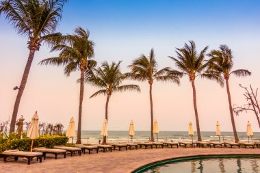 Güzel lüks şemsiyeleri ve sandalyeler