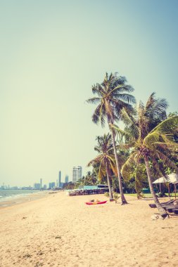Sahildeki palmiye ağaçları