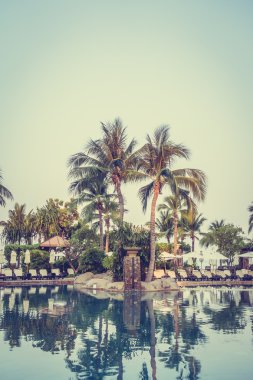 Şemsiyeleri ve sandalyeler Yüzme Havuzu etrafında