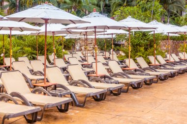 Şemsiyeleri ve sandalyeler Yüzme Havuzu etrafında