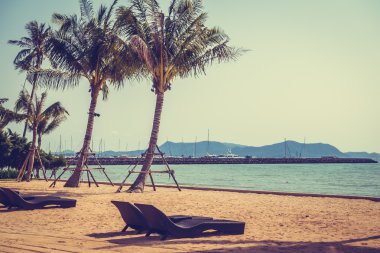 Sahildeki palmiye ağaçları