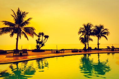 Siluet Hindistan cevizi palmiye ağaçları