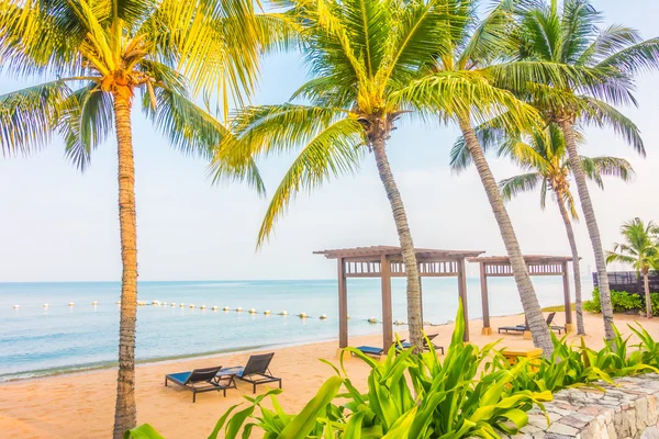 Bella spiaggia e mare con palme — Foto Stock