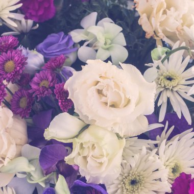 güzel çiçek arka plan