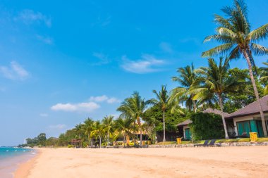 Güzel plaj ve palmiye ağaçları ile