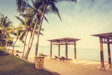 Güzel plaj ve palmiye ağaçları ile