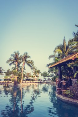 Palmiye ağaçları ile yüzme havuzu manzarası