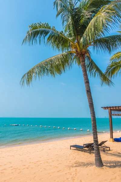 Bella spiaggia e mare con palme — Foto Stock