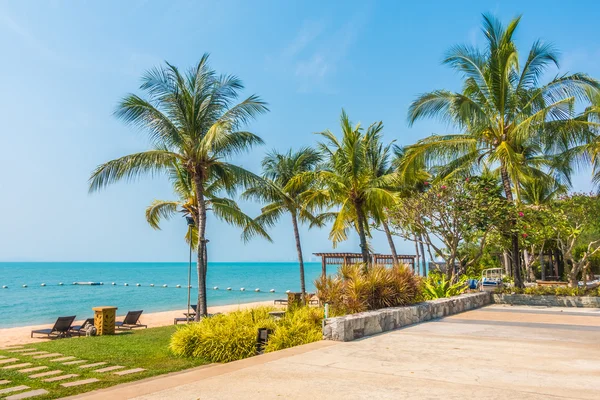 Güzel plaj ve palmiye ağaçları ile