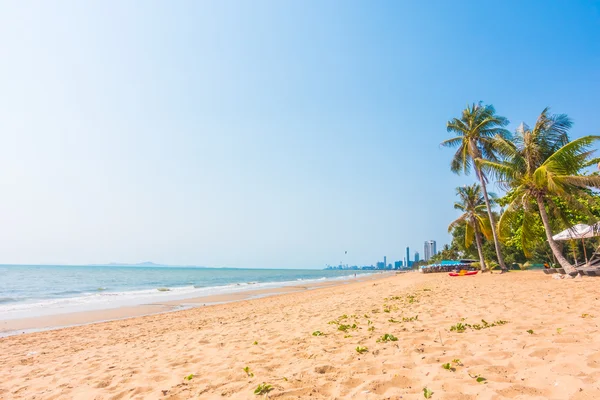 Palma sulla spiaggia — Foto Stock