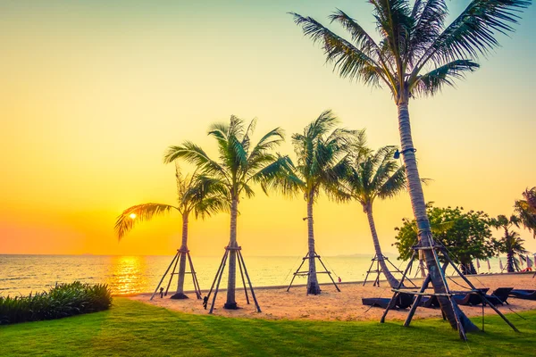 Palm trees on beach — Stock Photo, Image