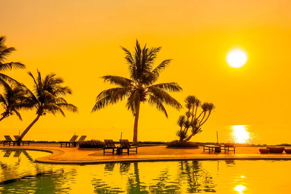 Hindistan cevizi hurma ağaçlarının Silhouettes