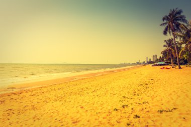 Sahildeki palmiye ağaçları